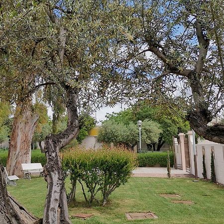 Flos Guest House Lucera Esterno foto