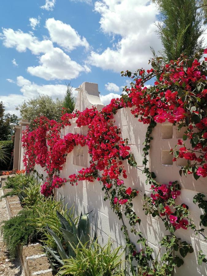 Flos Guest House Lucera Esterno foto